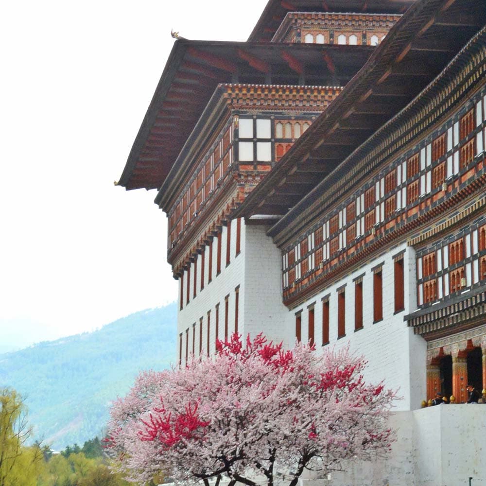 Best Time to Visit Bhutan: A Month-by-Month Guide