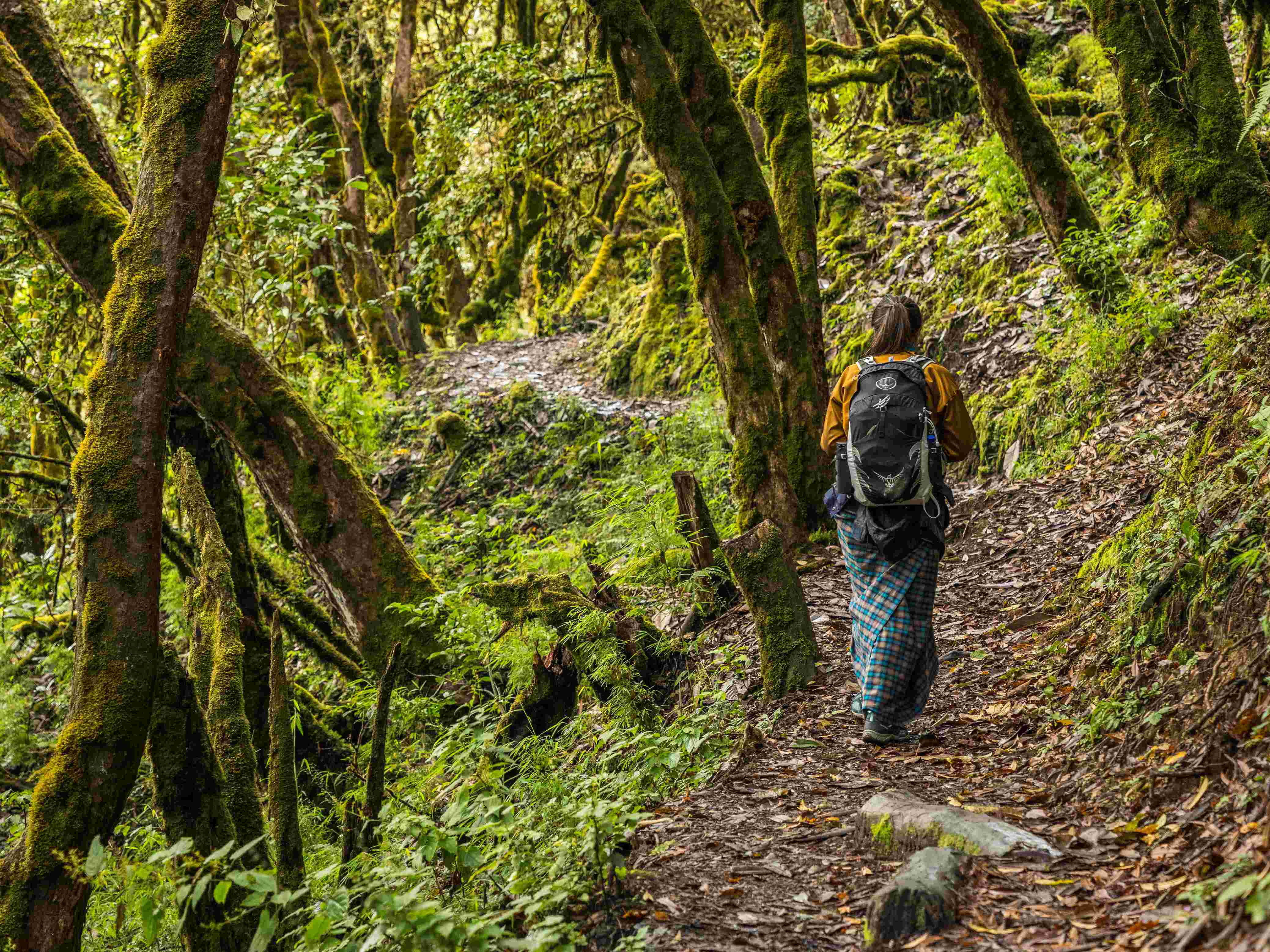 Gentle Himalayan Hikes