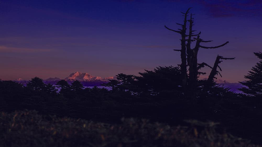 Sinchula Winter Trek