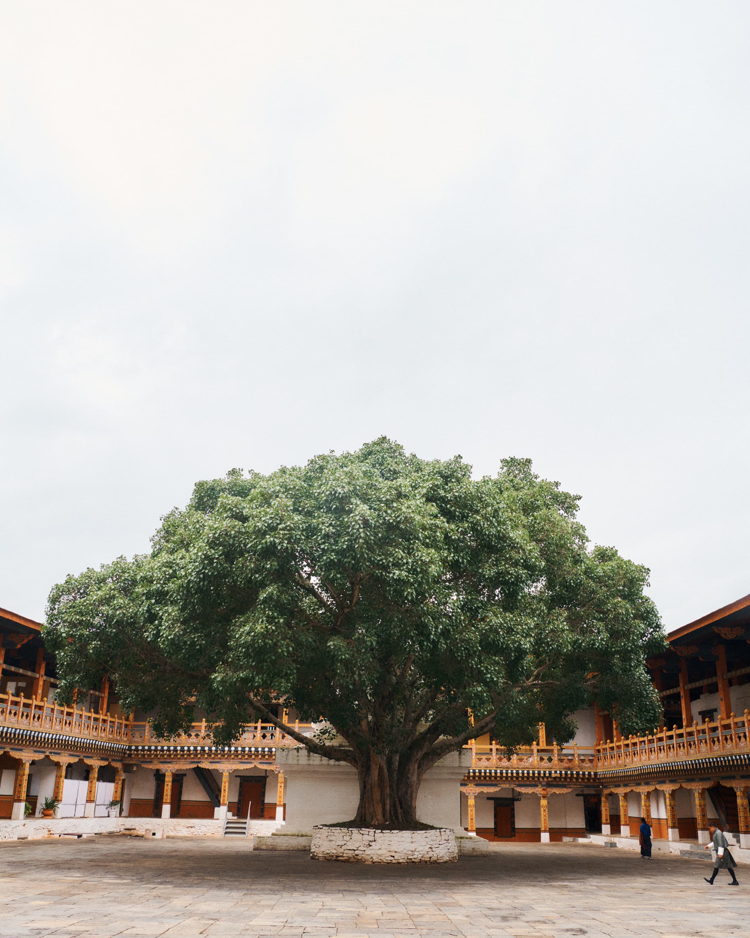 Cast in the Himalayas: Fly Fishing in Bhutan